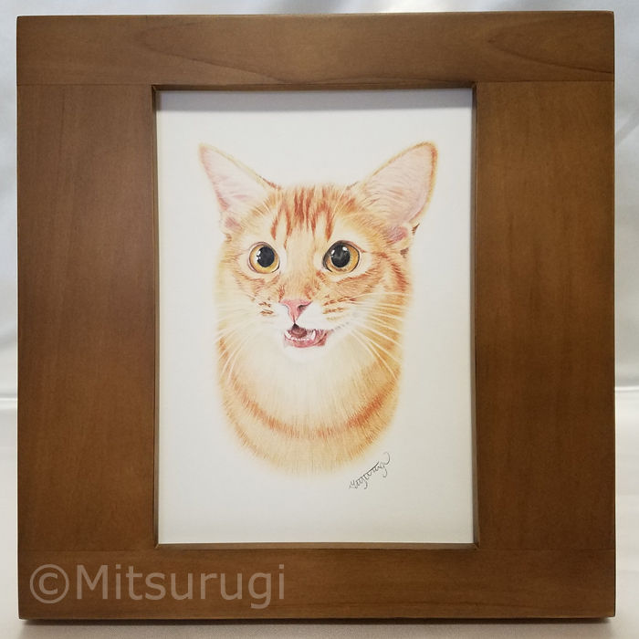 ペット 似顔絵 猫 絵 色鉛筆画 肖像画 イラスト 茶トラ猫