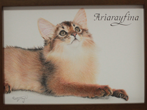 ペット 似顔絵 猫 絵 絵画 色鉛筆画 肖像画 イラスト 猫のアトリエ