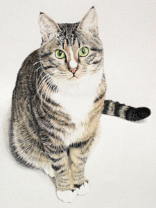 ペット 似顔絵 猫 絵 絵画 色鉛筆画 肖像画 ポートレート イラスト 猫のアトリエ