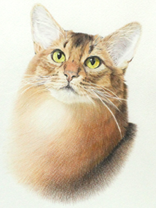 ペット 似顔絵 猫 絵 絵画 色鉛筆画 肖像画 胸像 イラスト 猫のアトリエ